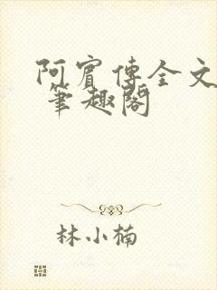 阿宾传全文阅读 笔趣阁