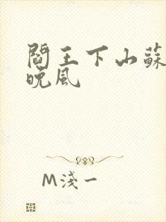 阎王下山苏文陆晚风封面