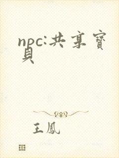 npc:共享宝贝封面
