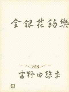 金银花的乐可封面