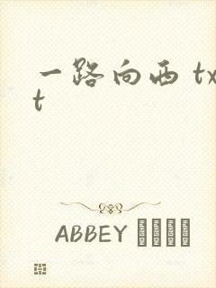 一路向西 txt封面