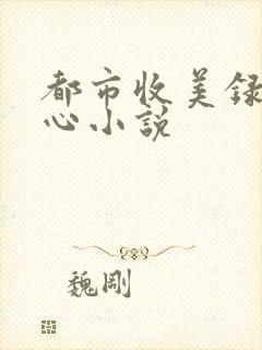 都市收美录宁素心小说