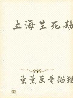 上海生死劫