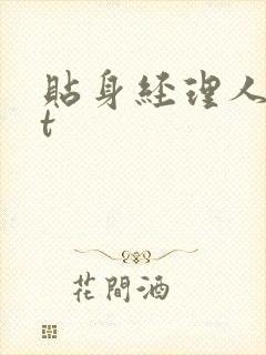 贴身经理人txt封面