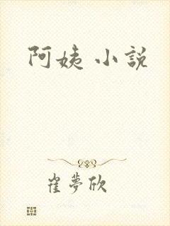 阿姨 小说