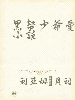 黑帮少爷爱上我小说