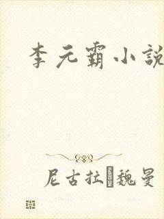 李元霸小说
