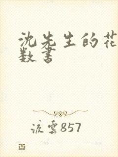 沈先生的花式调数书