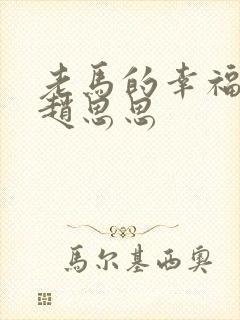 老马的幸福生活赵思思