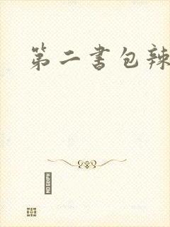 第二书包辣文