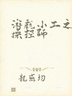 游戏小工之元素操控师封面