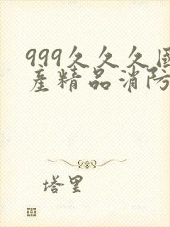 999久久久国产精品消防器材