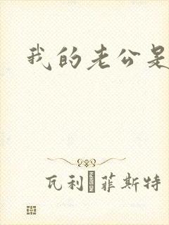 我的老公是军阀封面