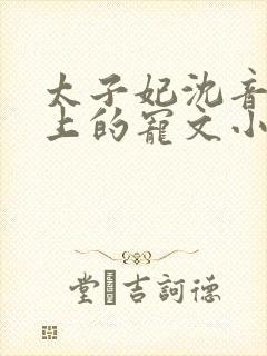 太子妃沈音和皇上的宠文小说