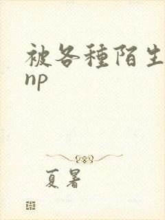 被各种陌生人 np