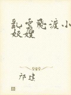 乱云飞渡小说之姣嫂