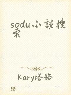 sodu小说搜索