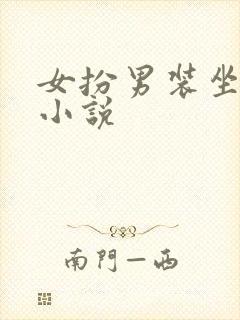 女扮男装坐江山小说