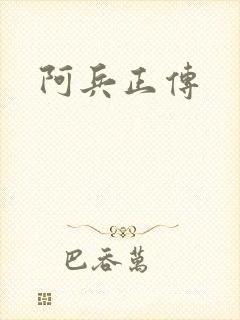 阿兵正传封面