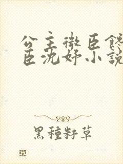 公主微臣馋了微臣沈妤小说