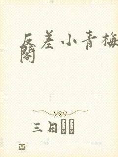 反差小青梅笔趣阁