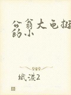 公翁大龟挺进我的小封面