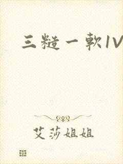 三糙一软1V3封面
