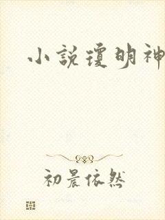 小说琼明神女录