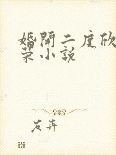 婚开二度欣欣向荣小说