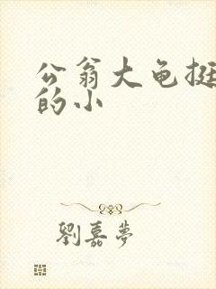 公翁大龟挺进我的小