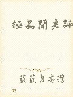 极品开光师封面