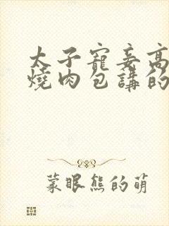 太子宠妾高肉红烧肉包讲的什么封面