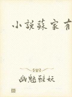 小说苏家有女封面