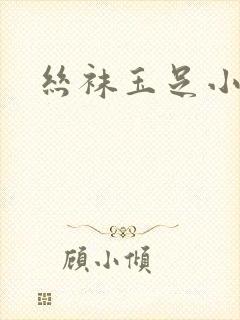 丝袜玉足小说封面