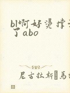 bl啊好烫撑满了abo