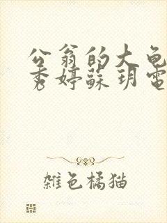 公翁的大龟挺进秀婷苏玥电影