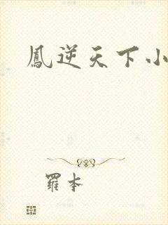 凤逆天下小说