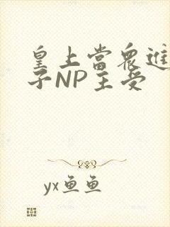 皇上当众进入太子NP主受