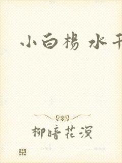 小白杨 水千丞