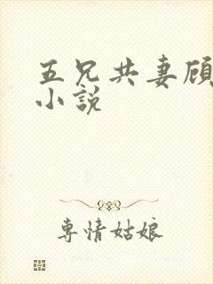 五兄共妻顾心儿小说封面