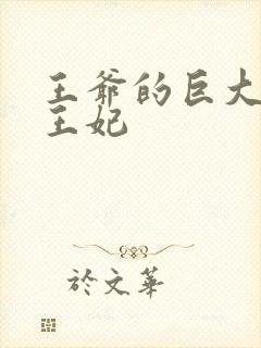 王爷的巨大进入王妃