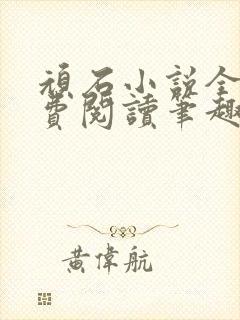 顽石小说全文免费阅读笔趣阁