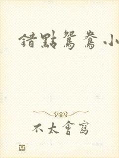 错点鸳鸯小说