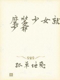 魔装少女就是本少爷