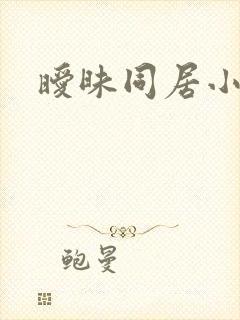 暧昧同居小说封面