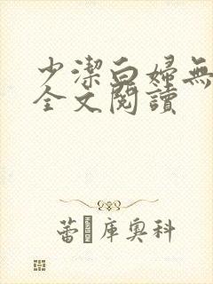 少洁白妇无删减全文阅读