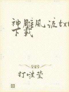 神雕风流txt下载