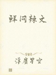 鲜网辣文封面