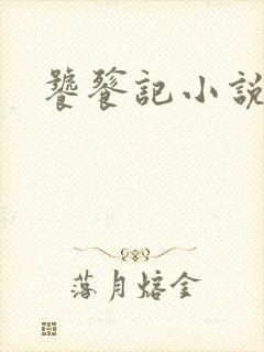 饕餮记小说封面