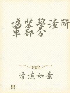 伪装学渣所有开车部分